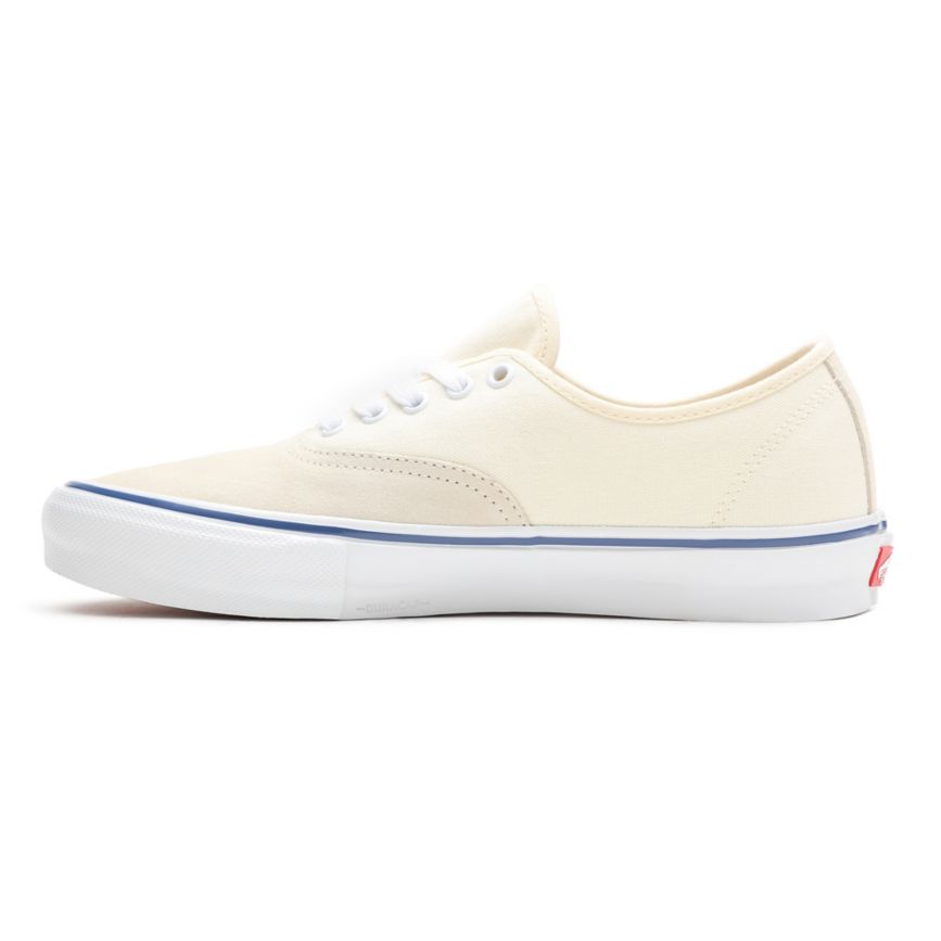 Vans Skate Authentic Kengät Valkoinen | VN698W1PW69