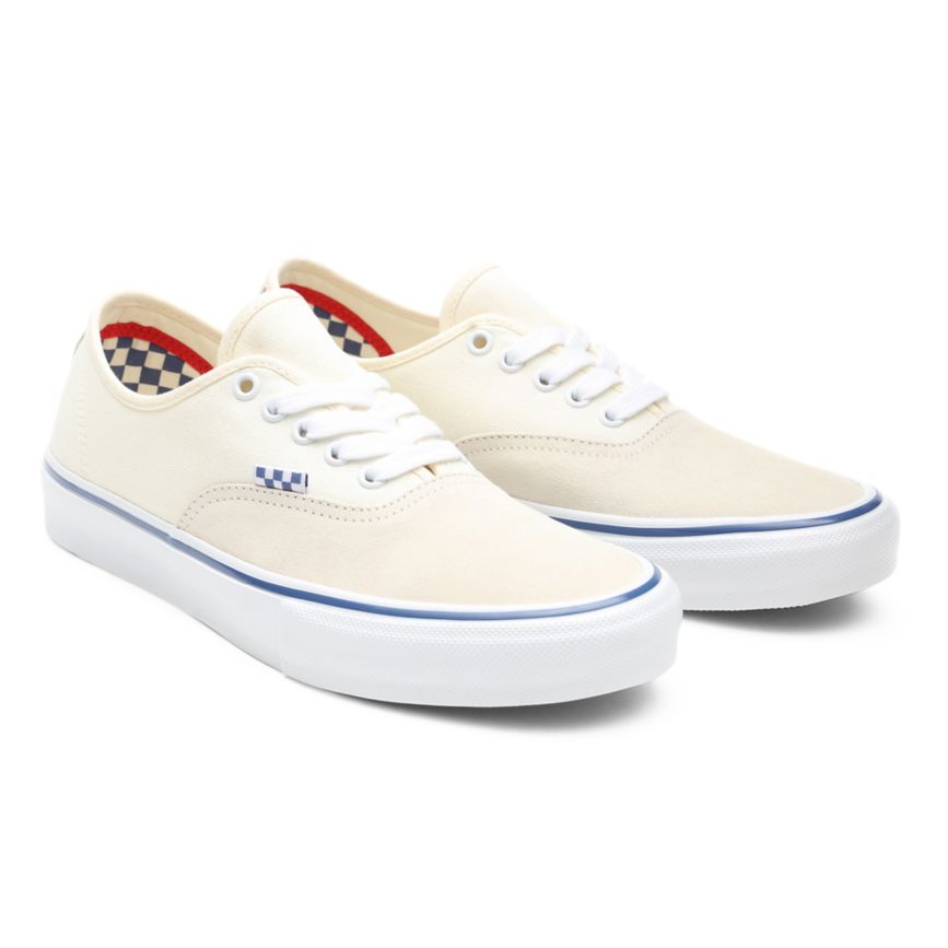 Vans Skate Authentic Kengät Valkoinen | VN698W1PW69